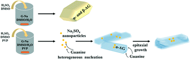 Graphical abstract: Synthesis of porous microplatelets of α form anhydrous guanine in DMSO/water mixed solvents