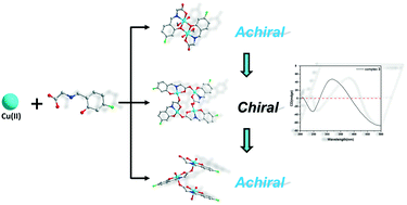 Graphical abstract: Structural transformation of copper coordination complexes accompanied with chiral transformation