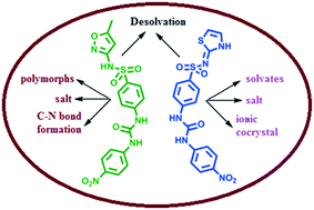 Graphical abstract: Polymorphic solvates, ionic cocrystals and C–N bond formation to form ionic cocrystals in sulfamethoxazole and sulfathiazole-derived urea