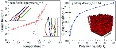 Graphical abstract: Glass transition and dynamics of semiflexible polymer brushes