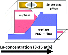 Graphical abstract: Probing the solute-drag effect and its role in stabilizing the orthorhombic phase in bulk La-doped HfO2 by X-ray and gamma ray spectroscopy