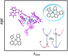 Graphical abstract: The study of intramolecular decay and intermolecular energy transfer for phosphorescent organic light-emitting devices