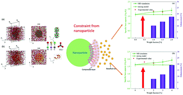 Graphical abstract: Mechanism exploration of the enhancement of thermal energy storage in molten salt nanofluid