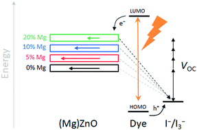 Graphical abstract: Influence of Mg-doping on the characteristics of ZnO photoanodes in dye-sensitized solar cells
