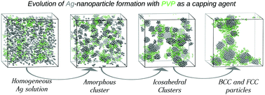 Graphical abstract: Molecular dynamics simulations of the formation of Ag nanoparticles assisted by PVP