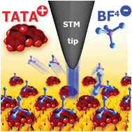 Graphical abstract: Where do the counterions go? Tip-induced dissociation of self-assembled triazatriangulenium-based molecules on Au(111)