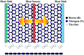 Graphical abstract: Phonon thermal conductivity of the stanene/hBN van der Waals heterostructure