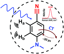 Graphical abstract: Photochemistry using a host–guest charge transfer paradigm: DMABN as a dynamical probe of ground and excited states