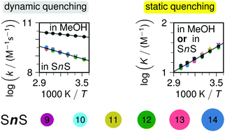 Graphical abstract: Do equilibrium and rate constants of intramicellar reactions depend on micelle size?