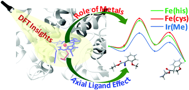 Graphical abstract: A computational approach to understand the role of metals and axial ligands in artificial heme enzyme catalyzed C–H insertion