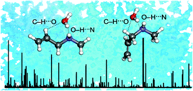 Graphical abstract: Exploring the non-covalent interactions behind the formation of amine–water complexes: the case of N-allylmethylamine monohydrate