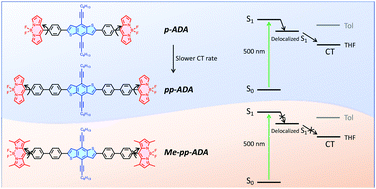 Graphical abstract: Excited state dynamics of BODIPY-based acceptor–donor–acceptor systems: a combined experimental and computational study