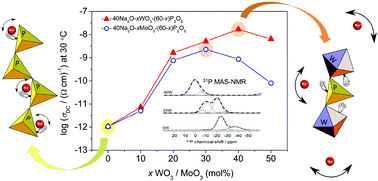 Graphical abstract: A significant enhancement of sodium ion conductivity in phosphate glasses by addition of WO3 and MoO3: the effect of mixed conventional–conditional glass-forming oxides