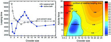 Graphical abstract: Comparative study of polymer looping kinetics in passive and active environments