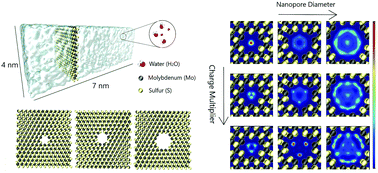 Graphical abstract: Water mobility in MoS2 nanopores: effects of the dipole–dipole interaction on the physics of fluid transport