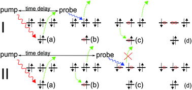 Graphical abstract: Attosecond pump–attosecond probe spectroscopy of Auger decay