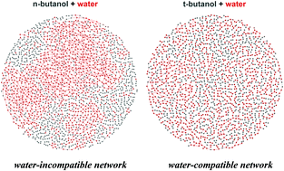 Graphical abstract: Effects of molecular shape on alcohol aggregation and water hydrogen bond network behavior in butanol isomer solutions