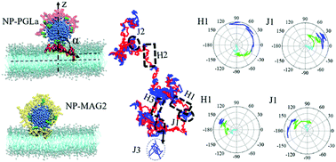 Graphical abstract: Ligand-decoration determines the translational and rotational dynamics of nanoparticles on a lipid bilayer membrane