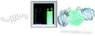 Graphical abstract: Self-assembled, optically-active {naphthalene diimide}U{cucurbit[8]uril} ensembles in an aqueous environment