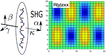 Graphical abstract: Second harmonic generation theory for a helical macromolecule with high sensitivity to structural disorder