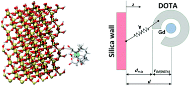 Graphical abstract: Effect of water nanoconfinement on the dynamic properties of paramagnetic colloidal complexes