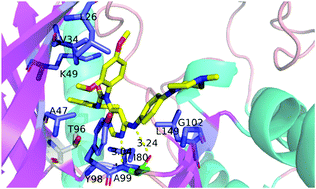 Graphical abstract: Exploring the stability of inhibitor binding to SIK2 using molecular dynamics simulation and binding free energy calculation