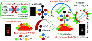 Graphical abstract: Physical insights into the facilitation of an unprecedented complexation reaction on the surface of a doped quantum dot leading to white light generation