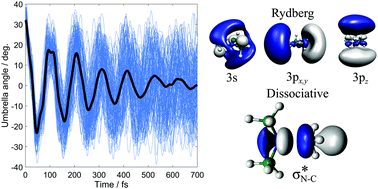 Graphical abstract: Trajectory surface-hopping photoinduced dynamics from Rydberg states of trimethylamine