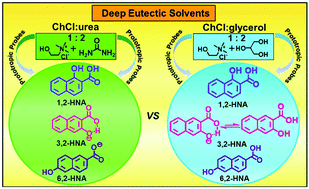 Graphical abstract: Prototropic forms of hydroxy derivatives of naphthoic acid within deep eutectic solvents