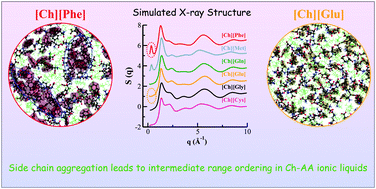 Graphical abstract: Unique and generic structural features of cholinium amino acid-based biocompatible ionic liquids