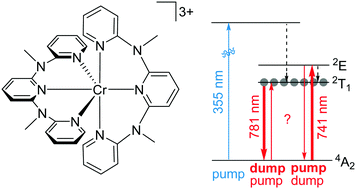 Graphical abstract: Transient FTIR spectroscopy after one- and two-colour excitation on a highly luminescent chromium(iii) complex