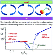 Graphical abstract: Active particle diffusion in convection roll arrays