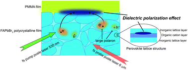 Graphical abstract: Dielectric polarization effect and transient relaxation in FAPbBr3 films before and after PMMA passivation