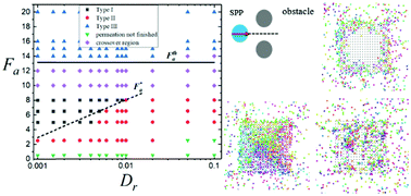 Graphical abstract: Absorption of self-propelled particles into a dense porous medium