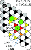 Graphical abstract: Oxygen chemistry of halogen-doped CeO2(111)