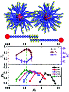 Graphical abstract: Optimizing the dynamic and thermodynamic properties of hybridization in DNA-mediated nanoparticle self-assembly