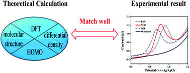 Graphical abstract: The influence mechanism of the molecular structure on the peak current and peak potential in electrochemical detection of typical quinolone antibiotics