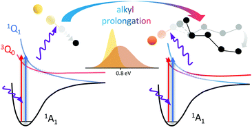 Graphical abstract: Energy partitioning and spin–orbit effects in the photodissociation of higher chloroalkanes