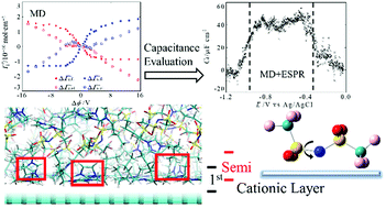 Graphical abstract: Evaluation of static differential capacitance at the [C4mim+][TFSA−]/electrode interface using molecular dynamics simulation combined with electrochemical surface plasmon resonance measurements