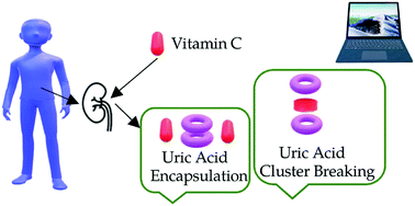 Graphical abstract: The miscibility and solubility of uric acid and vitamin C in the solution phase and their structural alignment in the solid–liquid interface