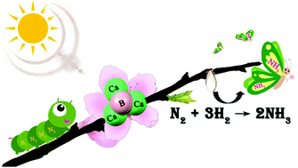 Graphical abstract: Designing an alkali-metal-like superatom Ca3B for ambient nitrogen reduction to ammonia