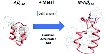 Graphical abstract: Impact of Cu(ii) and Al(iii) on the conformational landscape of amyloidβ1-42