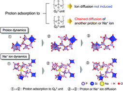 Graphical abstract: Diffusion of protons and sodium ions in silicophosphate glasses: insight based on first-principles molecular dynamic simulations