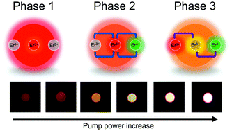 Graphical abstract: Power-dependent photophysical pathways of upconversion in BaTiO3:Er3+