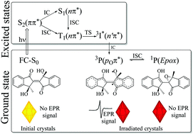 Graphical abstract: The mechanism behind the photochromism and photomagnetism of type II biindenylidenediones: multiconfigurational, perturbative and density functional theory studies