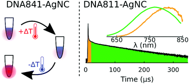 Graphical abstract: Observation of microsecond luminescence while studying two DNA-stabilized silver nanoclusters emitting in the 800–900 nm range