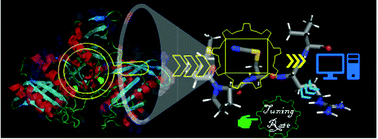 Graphical abstract: Quantification of the electric field inside protein active sites and fullerenes