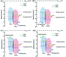 Graphical abstract: Effects of doping on photocatalytic water splitting activities of PtS2/SnS2 van der Waals heterostructures
