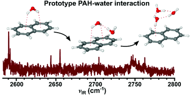 Graphical abstract: Unravelling the microhydration frameworks of prototype PAH by infrared spectroscopy: naphthalene–(water)1–3