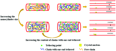 Graphical abstract: Molecular simulation of polymer crystallization under chain and space confinement